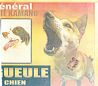 Gueule de chien