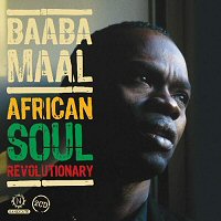 African Soul Revolutionary